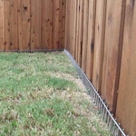 Cedar Fencing Pets