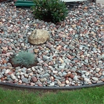 rock garden