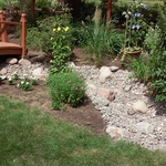 dry creek bed