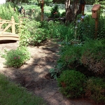 dry creek bed