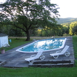 Pool with Bluestone Deck