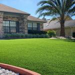 Front yard- Mandarin