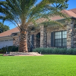 Front yard- Mandarin
