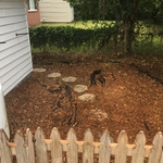Dog Area - before