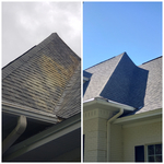Thick mildew on roof.