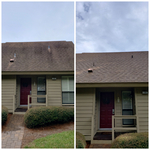 Black stains on asphalt shingle roof.