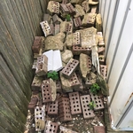 Before cleanout