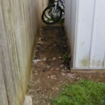 After Cleanout