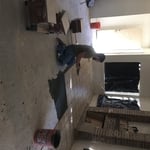 project