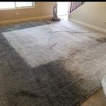 Cleaning some dirty carpet