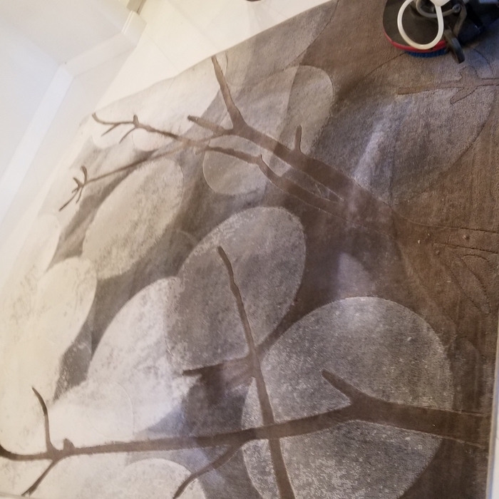 Cleaning oriental rug
