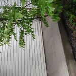 Before and after pics of a concrete porch