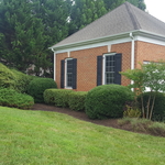 Shrub trimming