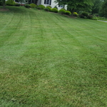 Beautiful Lawn maintenance
