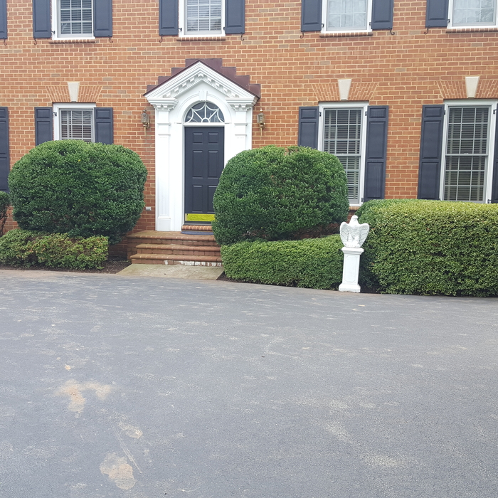shrub trimming