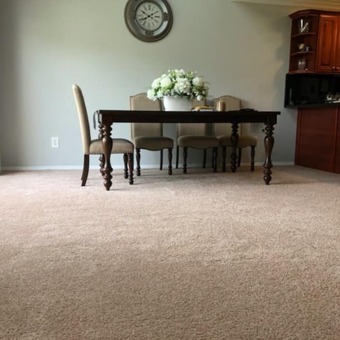Freshly cleaned carpets