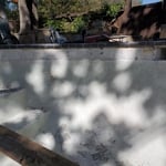 Denton pool remodel