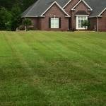 Lawn Care