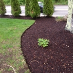 Garden Bed