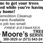Moore's Tree Service