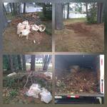 Brush Debris
