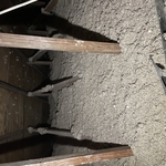 Cellulose