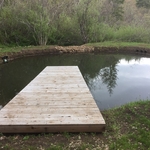 Finished pond