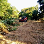 a Al's black blackberry patch.