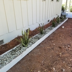 Planter Box