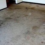 Heavily Soiled/Stained Carpet