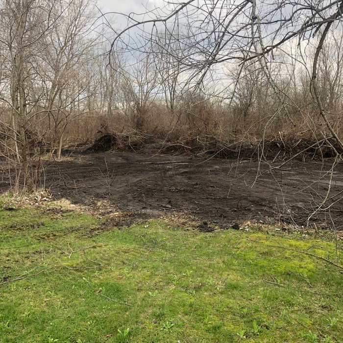 Land clearing