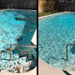 Before and After Cleaning