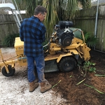 Residential Stump Grinding