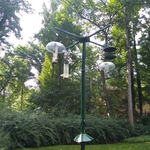 Bird feeder