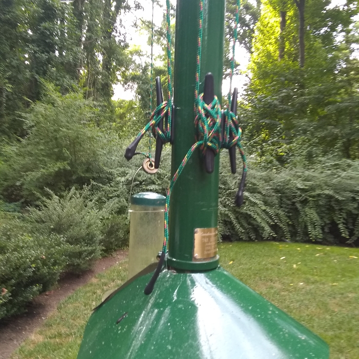 Bird feeder
