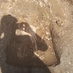 2nd stump