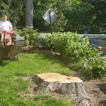 3rd stump