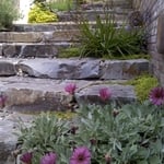 Garden Steps