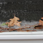 HomeCraft Gutter Guard