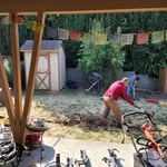 Outdoor Patio & Shed
