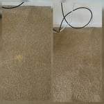 Bleach Stain