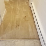 Hallway Stains