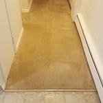 Hallway stains after