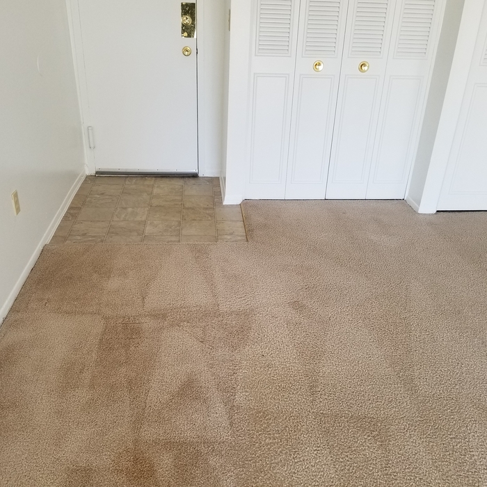 Entry Way After