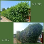 Asmus Bros job