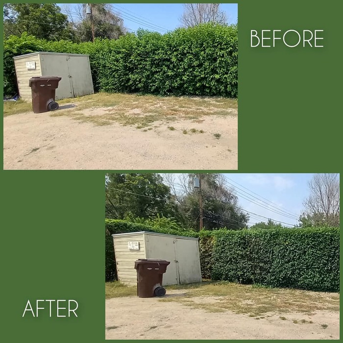 Asmus Bros job