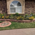 Curb appeal #1