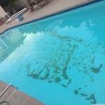 dirty pool