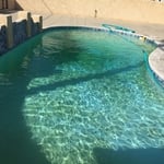 Dirty Algae Pool