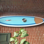 Surfboard Outdoor Shower